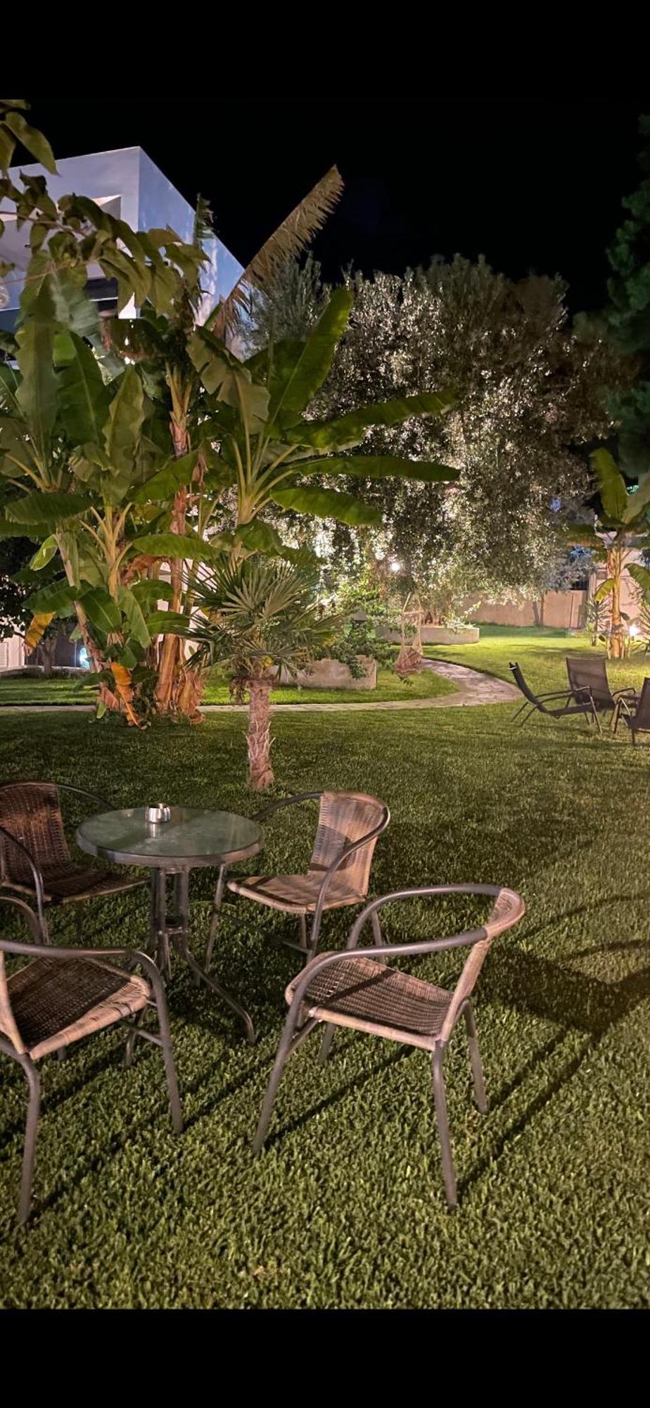 Mola Papaya Studios مولا كاليفا المظهر الخارجي الصورة